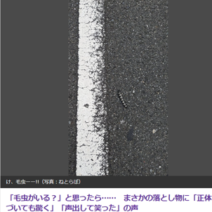 「ギャアアアア！道路に毛虫がっ！？」→落ち着いて見たら○○だった！